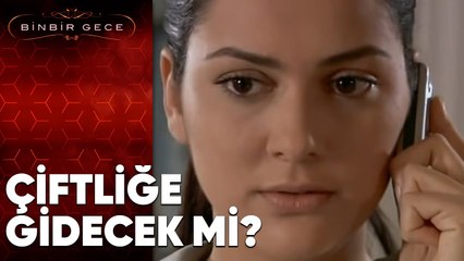 Şehrazat Onur'un Çiftliğine gidecek mi? - Binbir Gece 11. Bölüm