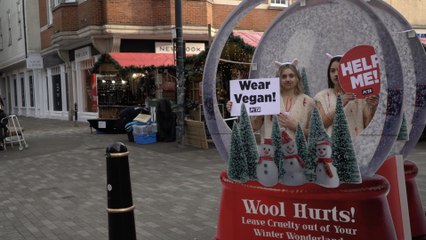 Protesters disrupt Canterbury Market over use of sheep wool