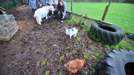 We visit a top league school in Shropshire complete with its own farm with goats.