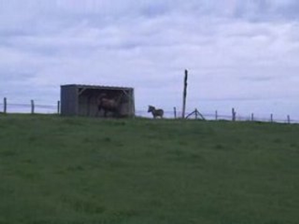 Vidéo-0004