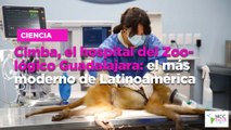 Cimba, el hospital del Zoológico Guadalajara: el más moderno de Latinoamérica