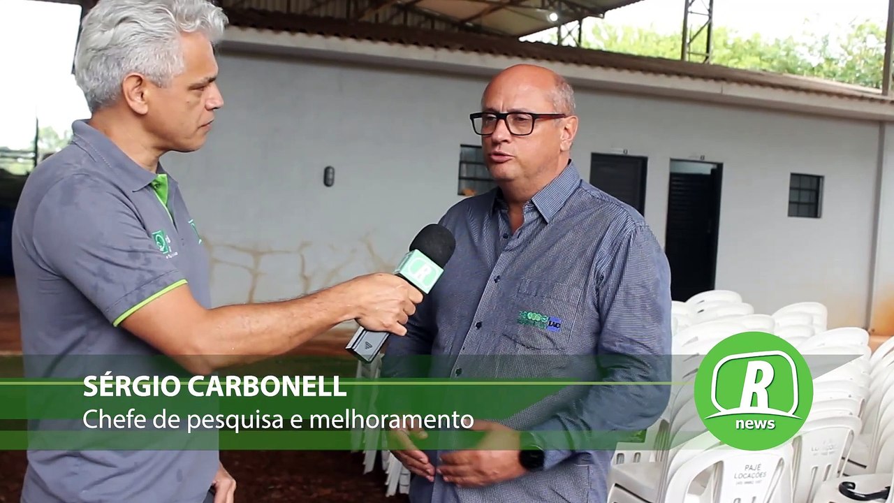 Novas variedades de feijão do IAC abrem novas perspectivas para os produtores