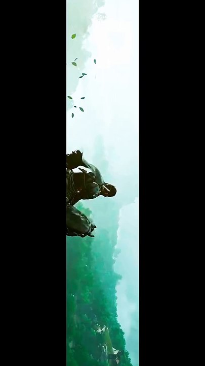 Beautiful Video clip of 2025