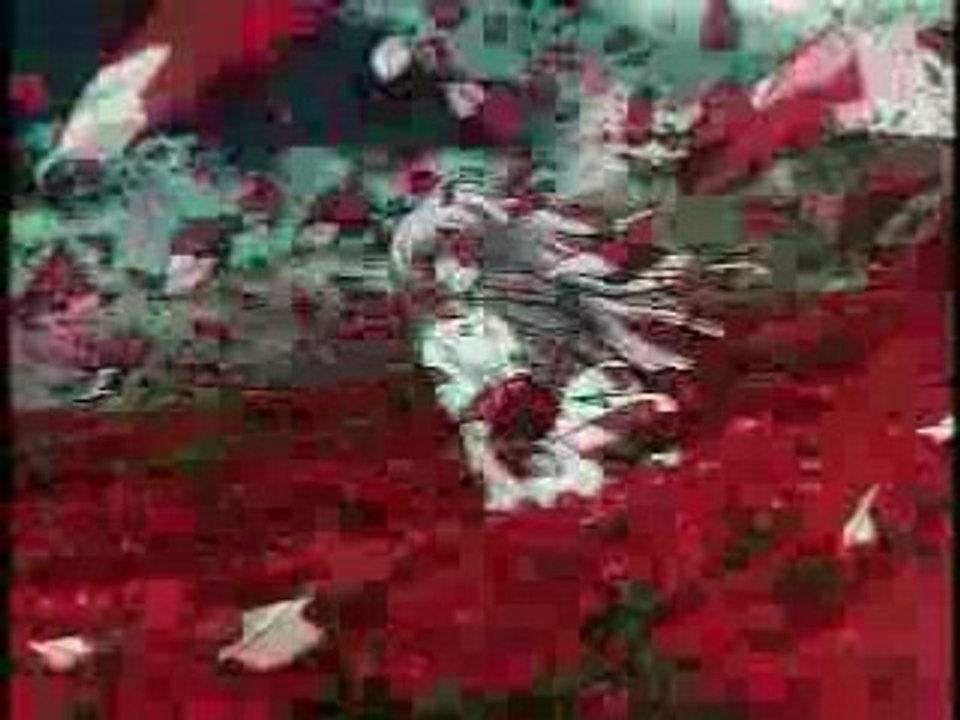 Shamanic Princess - Beautiful