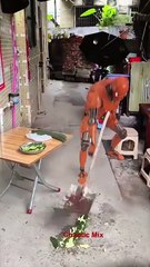 Can a Robot Be Stupid Watch Funny and Weird Robot Behaviors