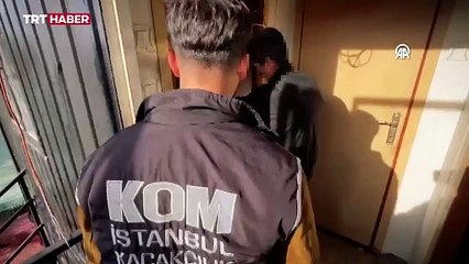 İstanbul'da bir evden timsah, kartal ve yılan çıktı