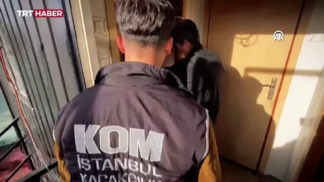 İstanbul'da bir evden timsah, kartal ve yılan çıktı