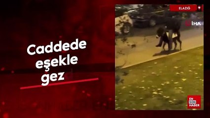 Elazığ'da caddede eşekle gezdi
