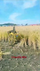 Robots Harvesting Rice The Future of Farming Technology