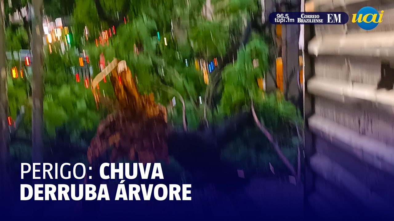 Chuva derruba árvore em frente ao Sesc Palladium, em BH