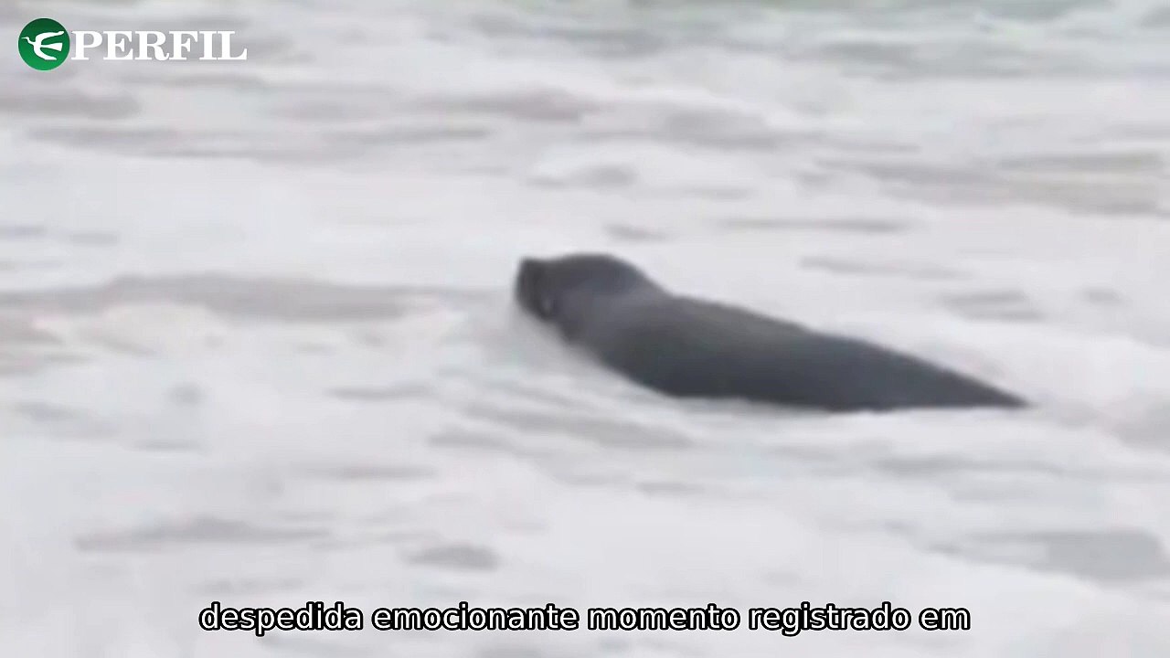 "Retorno de Joca ao mar, teoria sobre vida após a morte e inferno em La Palma: Conexões surpreendentes!"