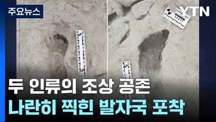 나란히 찍힌 발자국...서로 다른 '인류 조상' 공존했다 / YTN