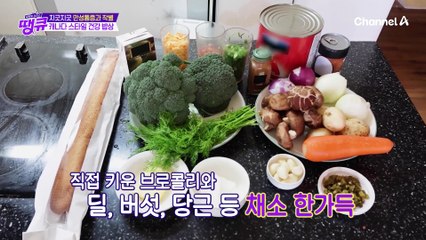 만성통증 만성염중 굿바이~! 캐나다인의 ★생강 활용법★