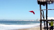 La playa Oasis de Pto. Vallarta no es apta para uso recreativo por presencia de heces fecales