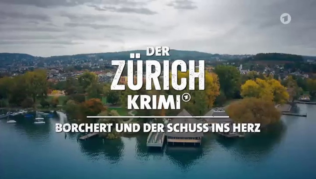 Der Zürich-Krimi -22- Borchert und der Schuss ins Herz