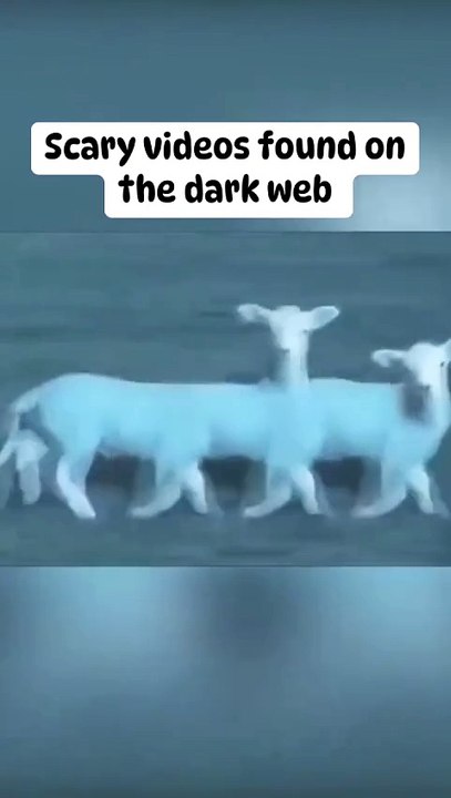 Scary Video 1