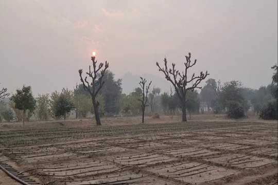 Rajasthan Weather : तेज सर्दी से गुलाबी नगर धूजा, प्रदेश में कड़ाके की ठंड का दौर