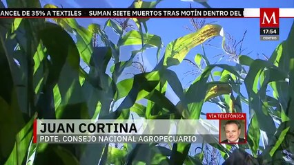 ¿Qué implica para México el haber perdido el panel por maíz transgénico contra EU bajo T-MEC?