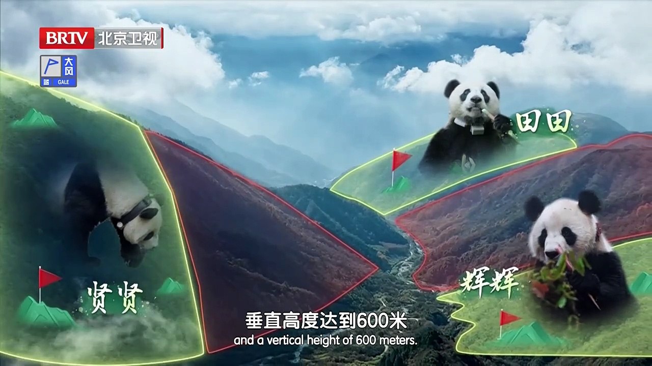 Tập thứ ba của -Cuộc phiêu lưu của gấu trúc- -Tiếng gọi rừng- khám phá quá trình huấn luyện hoang dã và giới thiệu lại khoa học về gấu trúc khổng lồ_Thời gian Bắc Kinh