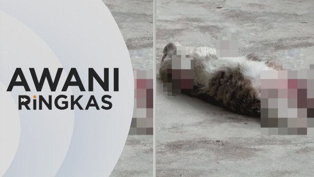 AWANI Ringkas: Insiden kematian kucing secara ngeri