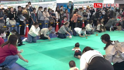 台南400醫養博覽嘉年華  寶寶爬行賽又萌又有趣