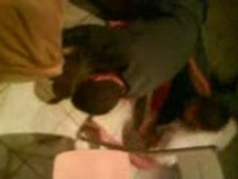 Max VS Traina chez ma chérie