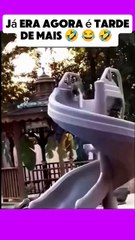 Vídeo de humor, risos e diversão