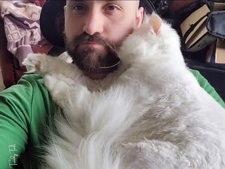 I am stuck. Please do not send help