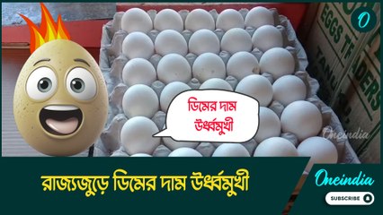 রাজ্যজুড়ে ডিমের দাম উর্ধ্বমুখী, চিন্তায় কপালে ভাঁজ মধ্যবিত্তের