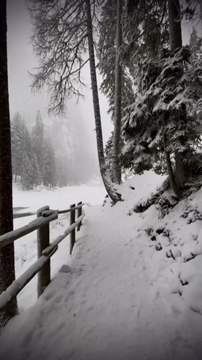 BALADE ENNEIGÉE au Lac de Braies