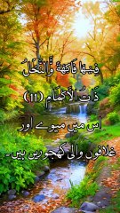 Surah Rahman | Mohamed El Fakeh | سورۃ الرحمٰن کاملتہ القاری محمد الفقیہ