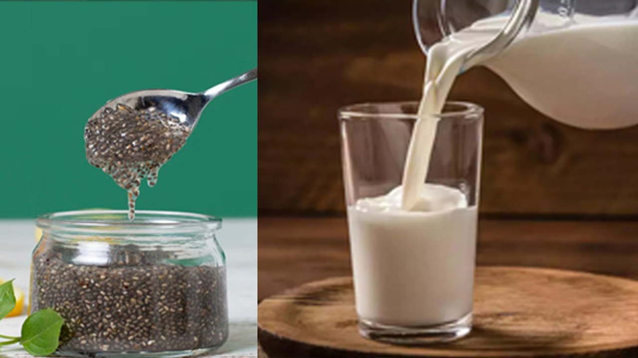 चिया सीड्स के साथ क्या नहीं खाना चाहिए | Chia Seeds Ke Sath Kya Nahi Khana Chahiye | Boldsky