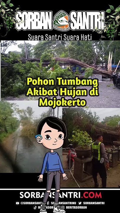 Laporan Terkini: Pohon Tumbang Akibat Hujan di Mojokerto