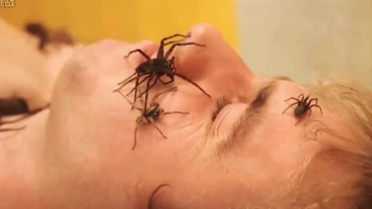 #mrbeast #wildsurvival #wildsurvival #challenge #Foreigners are really good at playing #Fear and shock #