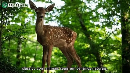 "Bambi ganhará filme com animais reais; TXT enfrenta críticas e G-Dragon responde rumores de namoro"