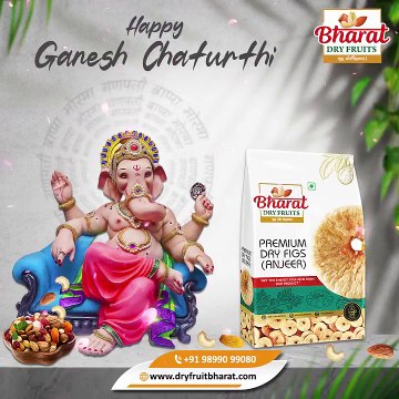 Blessings of Lord Ganesha for Your Home