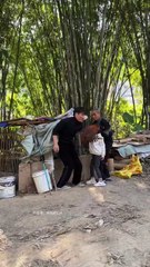 Today is our traditional festival - the winter solstice,.