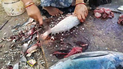 How to Cut Red Grouper (Vekhla Fish) at the Fish Market