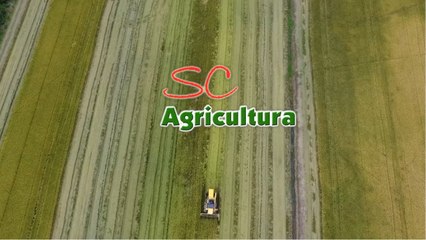 Confira a íntegra do programa SC Agricultura deste sábado (21)!