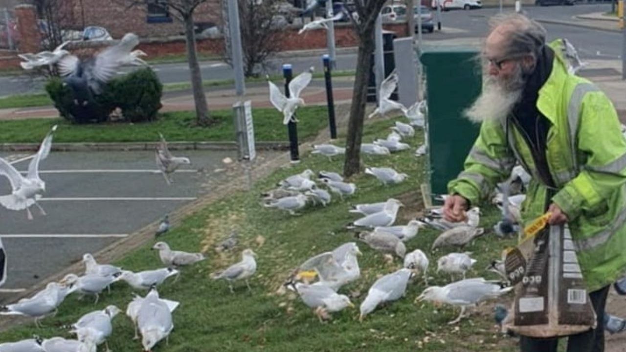 English grandfather hauled to court for refusing to stop feeding birds