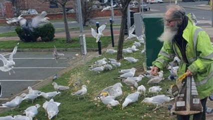 English grandfather hauled to court for refusing to stop feeding birds