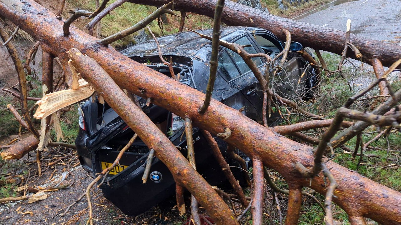 Wie durch ein Wunder entkam der Vater, nachdem drei Bäume seinen BMW während eines Sturms in Großbritannien zerquetscht hatten