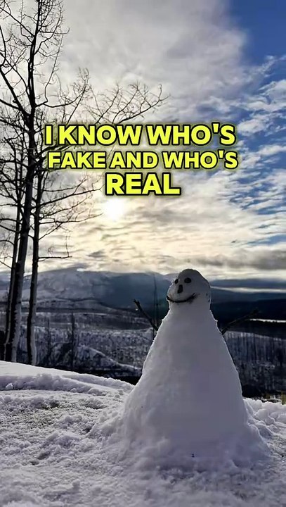 Who Fake Who Real