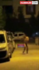 Çırılçıplak sokağa inip araçlara zarar vermeye kalktı