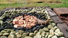 Bearded Dragon In A Fountain!