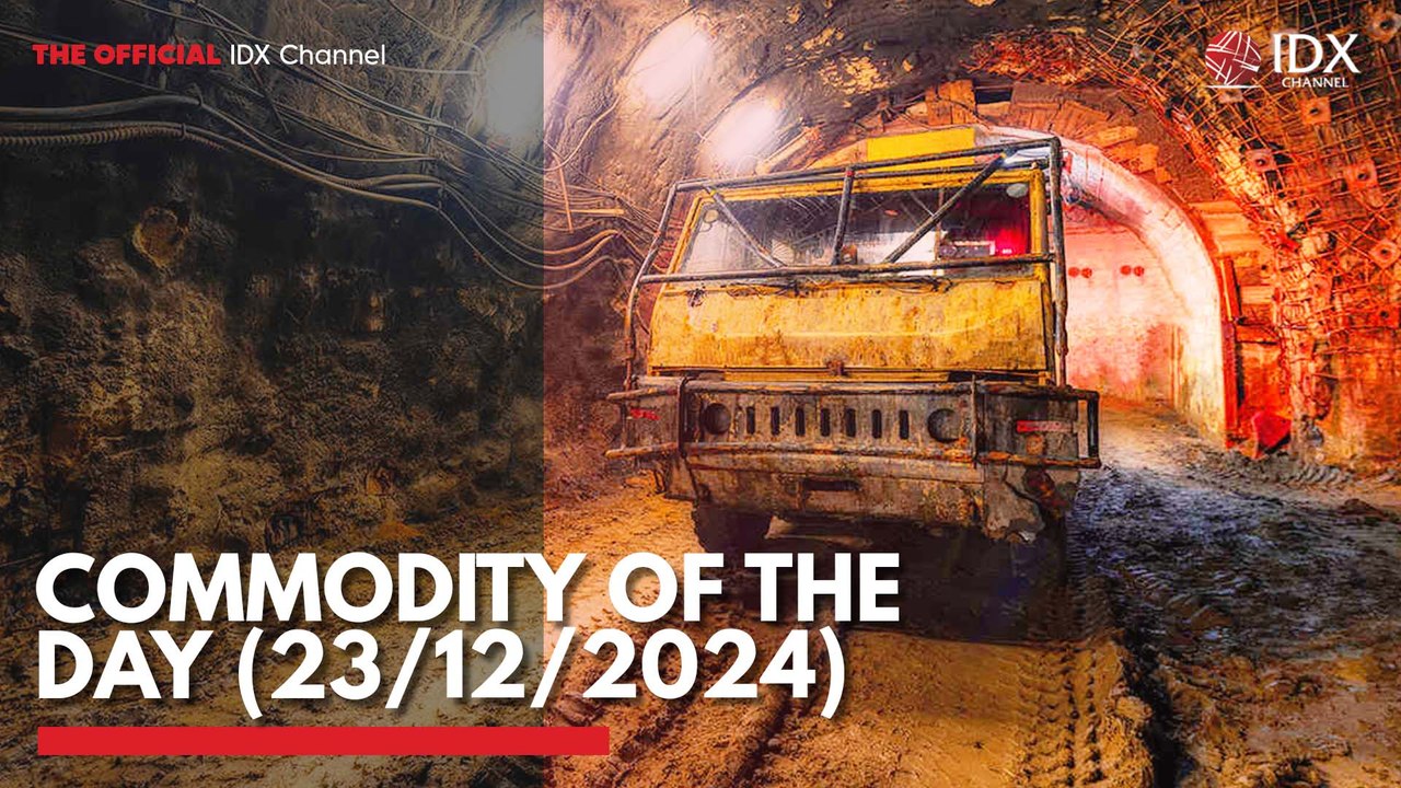 Commodity of the Day (23/12/2024)