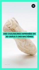 👟 Des chaussures imprimées en 3D grâce à des bactéries 🌱