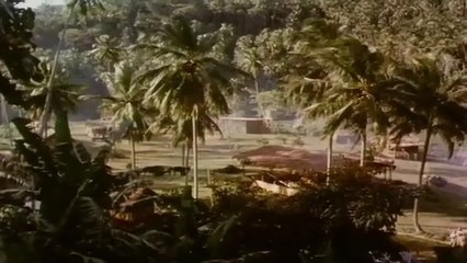 Gripping Action Film with Spectacular Cinematography POWERFUL ACTION HD | SOLDIER MOTHER| HD Live