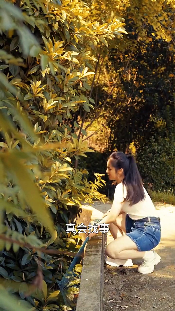 天庭在人间