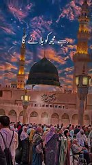 lv_7404092044706073857_20241109130318